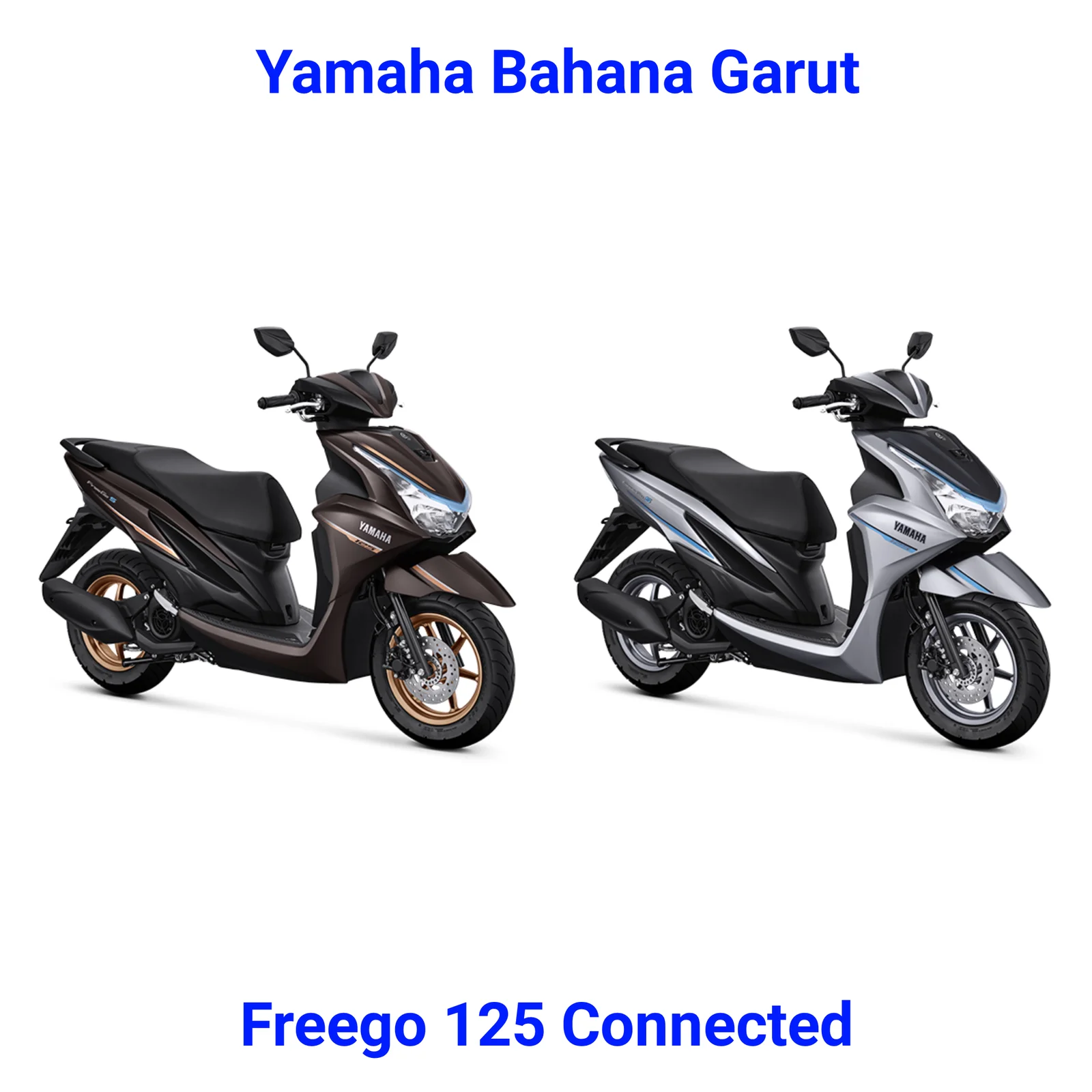 Varian Warna